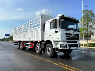 Shacman F3000